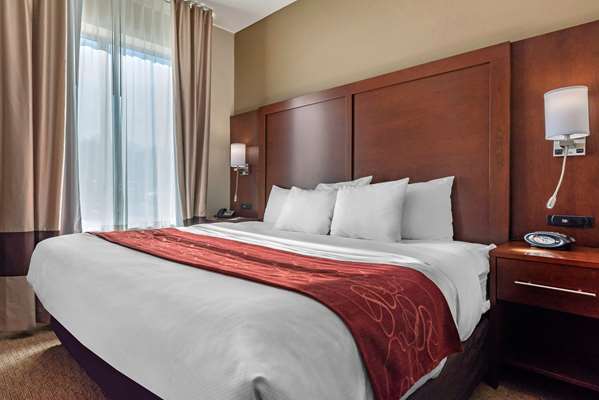 Suite - Comfort Suites Hebron - I-275, Exit 4