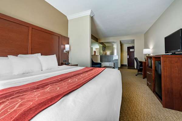 Suite - Comfort Suites Hebron - I-275, Exit 4
