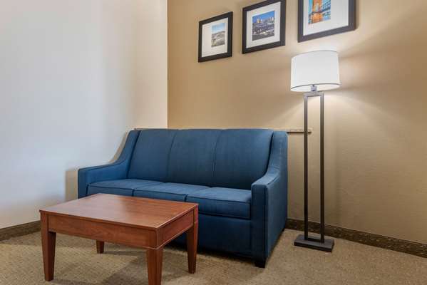 Suite - Comfort Suites Hebron - I-275, Exit 4