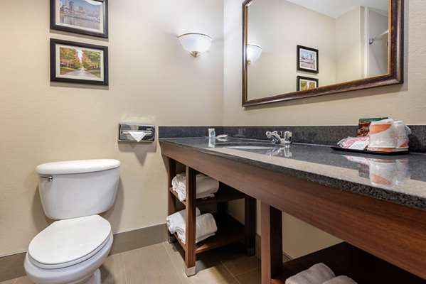 Suite - Comfort Suites Hebron - I-275, Exit 4