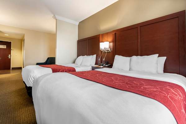 Suite - Comfort Suites Hebron - I-275, Exit 4