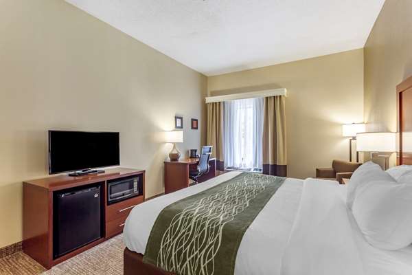  - Comfort Inn & Suites Cave City - I-65, Exit 53