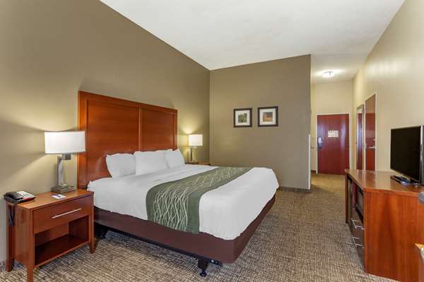  - Comfort Inn & Suites Cave City - I-65, Exit 53