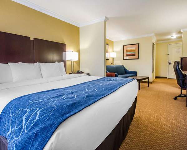  - Comfort Suites Elizabethtown - I-65, Exit 94