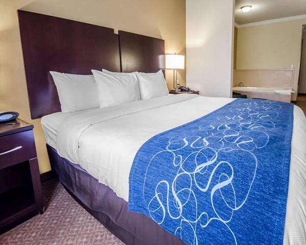 Suite - Comfort Suites Elizabethtown - I-65, Exit 94