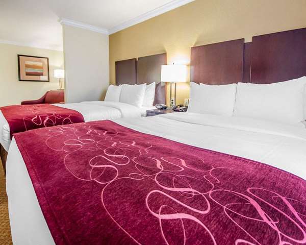 Suite - Comfort Suites Elizabethtown - I-65, Exit 94