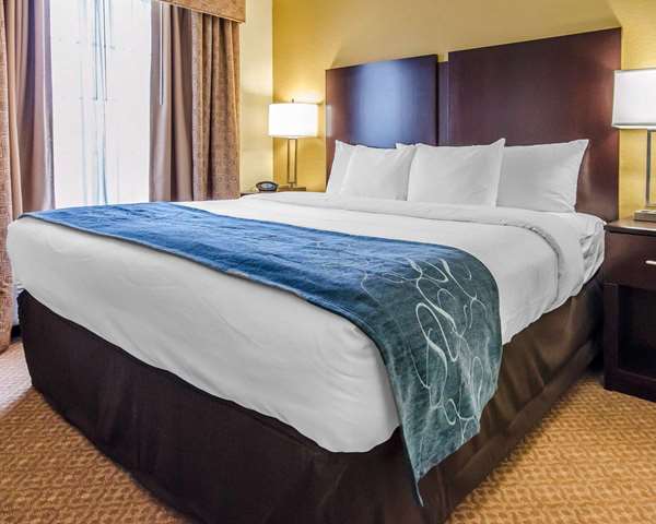 Suite - Comfort Suites Elizabethtown - I-65, Exit 94