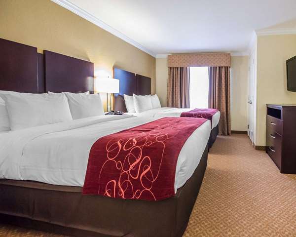 Suite - Comfort Suites Elizabethtown - I-65, Exit 94