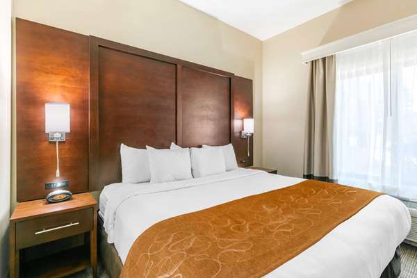 Suite - Comfort Suites Hopkinsville - I-169, Exit 7