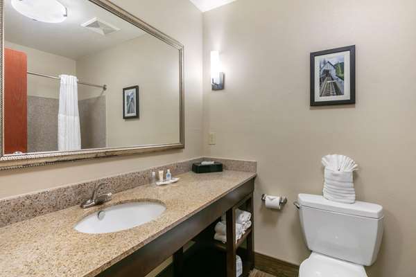 Suite - Comfort Suites Hopkinsville - I-169, Exit 7