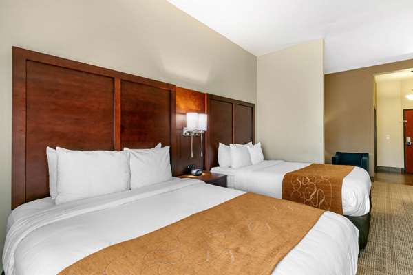 Suite - Comfort Suites Hopkinsville - I-169, Exit 7