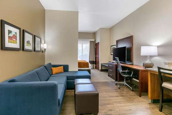 Suite - Comfort Suites Hopkinsville - I-169, Exit 7
