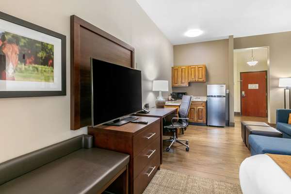 Suite - Comfort Suites Hopkinsville - I-169, Exit 7