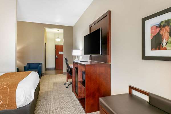 Suite - Comfort Suites Hopkinsville - I-169, Exit 7
