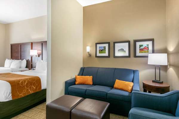 Suite - Comfort Suites Hopkinsville - I-169, Exit 7