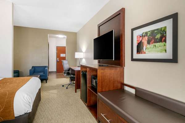 Suite - Comfort Suites Hopkinsville - I-169, Exit 7