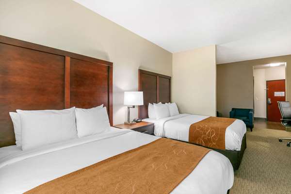Suite - Comfort Suites Hopkinsville - I-169, Exit 7