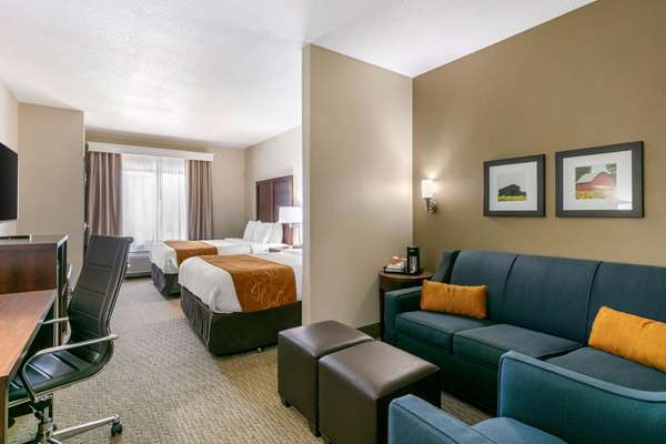 Suite - Comfort Suites Hopkinsville - I-169, Exit 7