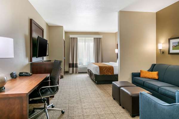 Suite - Comfort Suites Hopkinsville - I-169, Exit 7