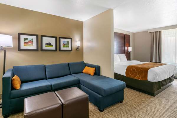 Suite - Comfort Suites Hopkinsville - I-169, Exit 7