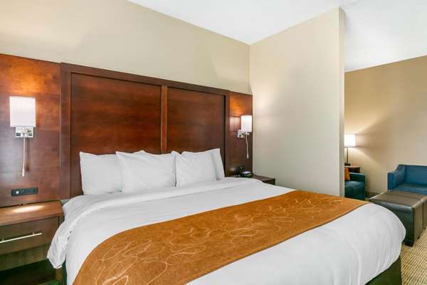 Suite - Comfort Suites Hopkinsville - I-169, Exit 7