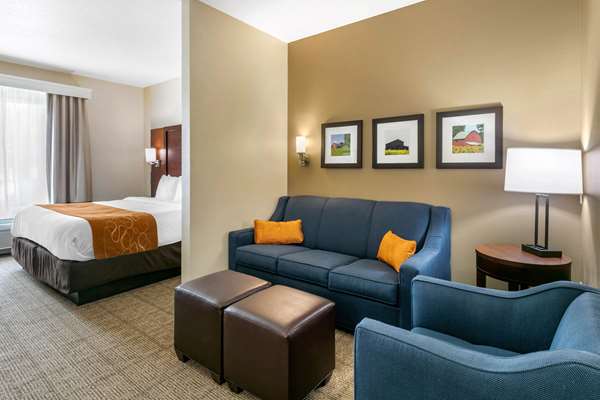 Suite - Comfort Suites Hopkinsville - I-169, Exit 7