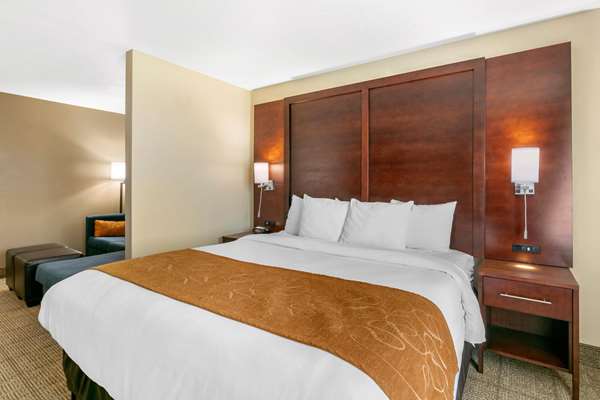 Suite - Comfort Suites Hopkinsville - I-169, Exit 7