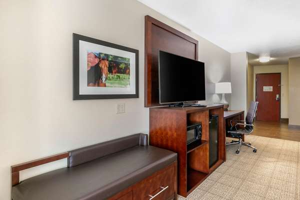 Suite - Comfort Suites Hopkinsville - I-169, Exit 7
