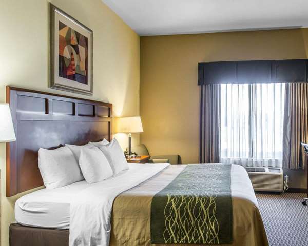 Suite - Comfort Inn & Suites Madisonville