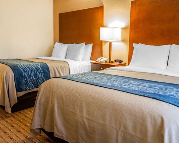 Suite - Comfort Inn & Suites Franklin - I-65, Exit 6