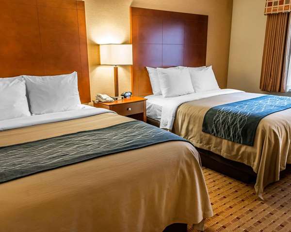 Suite - Comfort Inn & Suites Franklin - I-65, Exit 6