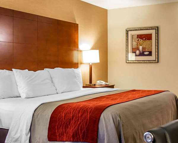 Suite - Comfort Inn & Suites Franklin - I-65, Exit 6