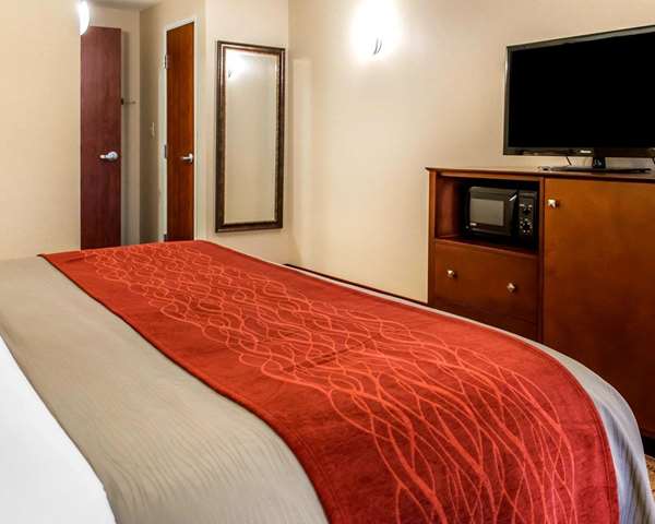 Suite - Comfort Inn & Suites Franklin - I-65, Exit 6