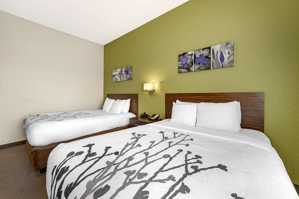 SLEEP INN & SUITES-guestroom-Guest Room,On-Site.jpg