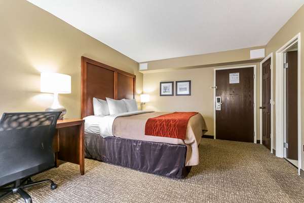  - Comfort Inn & Suites Lexington - I-75, Exit 110