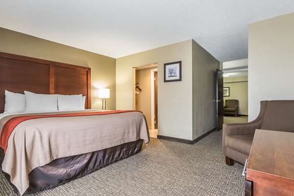 Suite - Comfort Inn & Suites Lexington - I-75, Exit 110