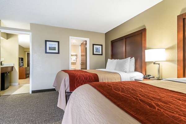 Suite - Comfort Inn & Suites Lexington - I-75, Exit 110