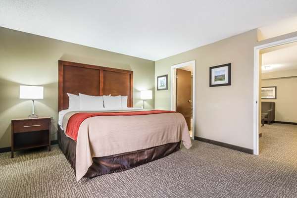 Suite - Comfort Inn & Suites Lexington - I-75, Exit 110