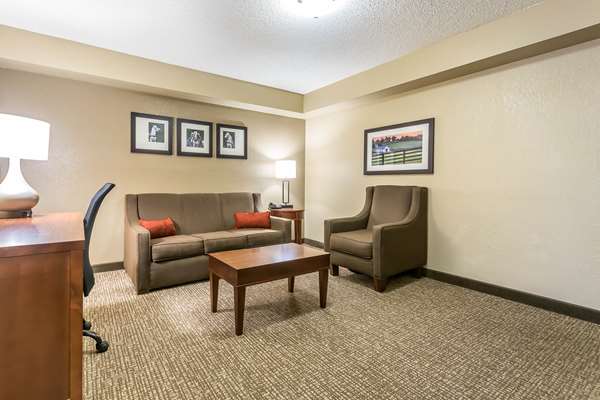 Suite - Comfort Inn & Suites Lexington - I-75, Exit 110