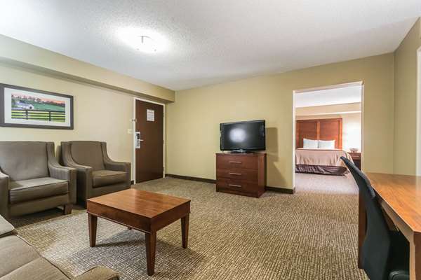 Suite - Comfort Inn & Suites Lexington - I-75, Exit 110