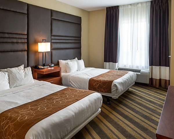 Suite - Comfort Suites Gonzales - I-10, Exit 177