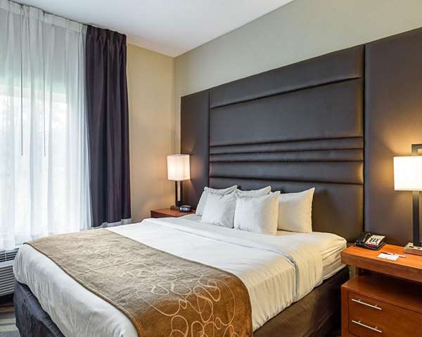 Suite - Comfort Suites Gonzales - I-10, Exit 177