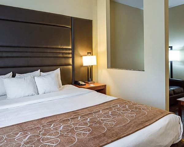 Suite - Comfort Suites Gonzales - I-10, Exit 177