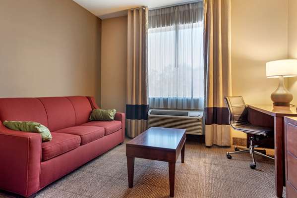 Suite - Comfort Inn Amite