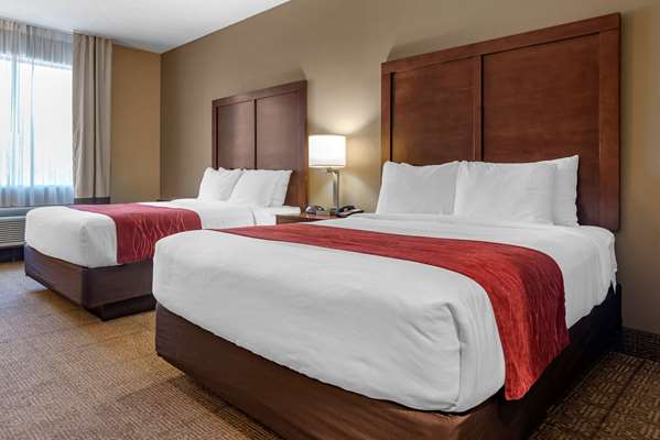 Suite - Comfort Inn Amite