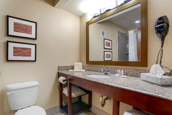  - Comfort Inn Baton Rouge - I-10, Exit 158