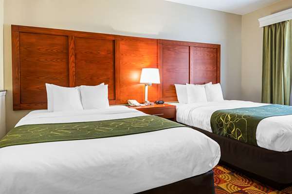 Suite - Comfort Suites Lake Charles - I-10, Exit 33
