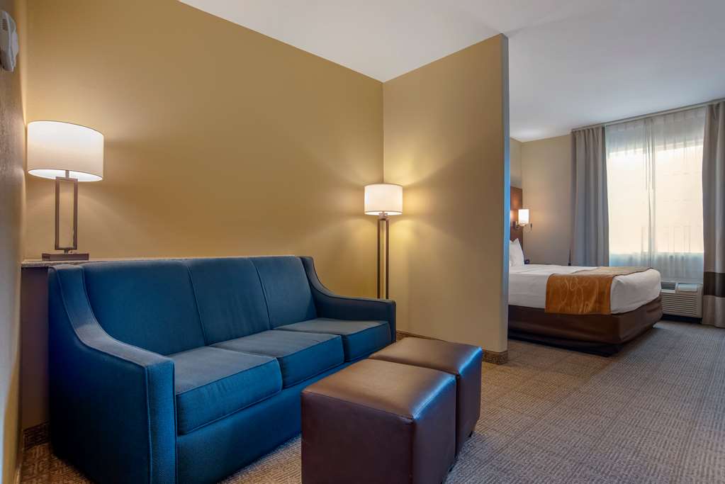 COMFORT SUITES ALEXANDRIA NORTH-guestroom-Guest Room,Suite,On-Site.jpg