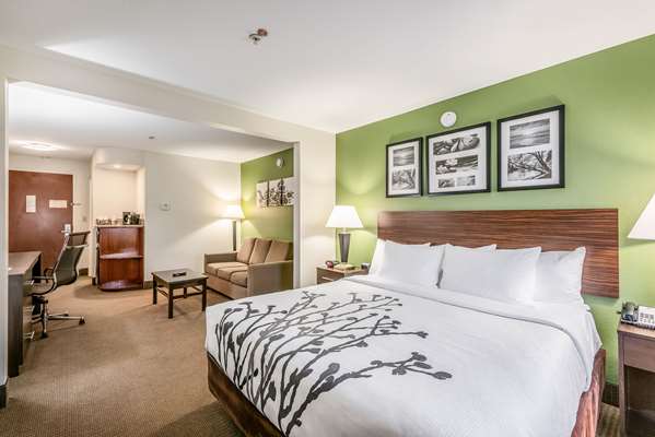 Suite - Sleep Inn Ruston - I-20, Exit 85
