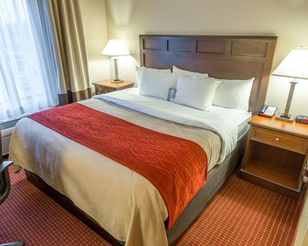 Suite - Comfort Inn New Orleans Airport St Rose